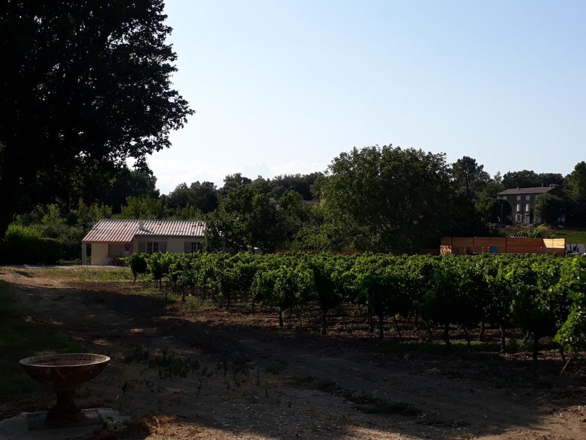 La Petite Maison Dans Les Vignes Chamaret Exterior foto